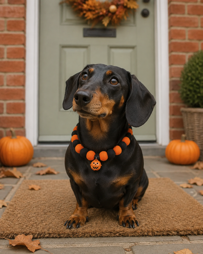 Halloween Pumpkin Bell Pom-Pom Pet Necklace